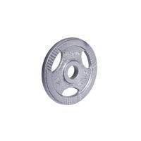 Obciążenie stalowe Hamerton 5 kg Insportline