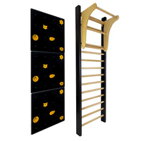 Drabinka gimnastyczna LEON 250x80 czarna + drążek + ścianka wspinaczkowa