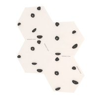 Ścianka wspinaczkowa sześciokątna 4x biała płyta + 20 czarnych uchwytów