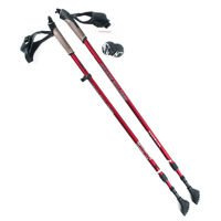 Kije treningowe Nordic Walking NW802 Nils Extreme