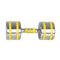 Hantla chromowana Yellsteel Insportline 12 kg